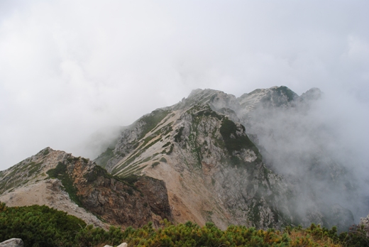 花咲く唐松岳・五竜岳①八方～唐松岳