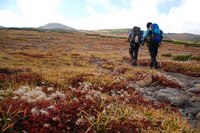 紅葉の立山①黒部湖～五色ヶ原～室堂