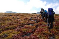 紅葉の立山①黒部湖～五色ヶ原～室堂