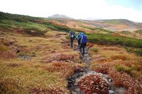 紅葉の立山①黒部湖～五色ヶ原～室堂