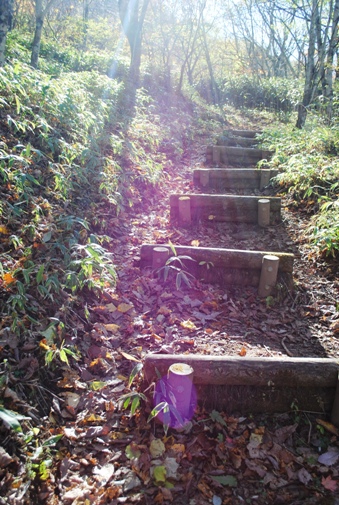 秋晴れの雁ヶ腹摺山と姥子山①