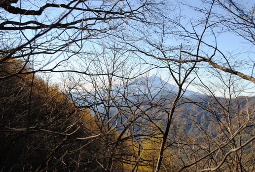 秋晴れの雁ヶ腹摺山と姥子山①