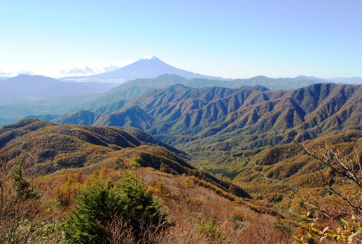 秋晴れの雁ヶ腹摺山と姥子山①