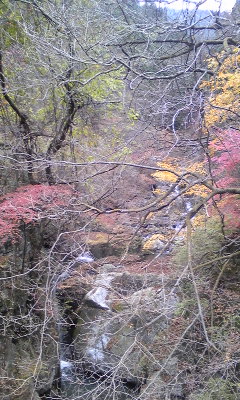 冬の川苔山グルメ登山①