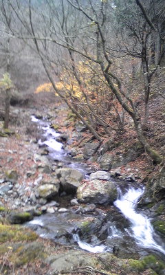 冬の川苔山グルメ登山①