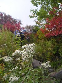 紅葉の立山①黒部湖～五色ヶ原～室堂