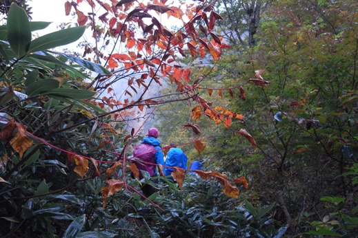 赤湯＆雨のち晴れの苗場山②