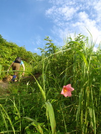 飯豊山③～本山編～