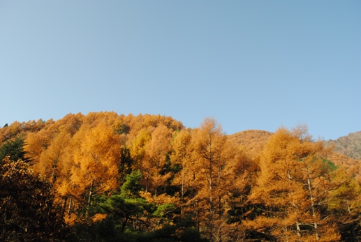 秋の三ツ峠山