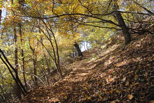 秋の三ツ峠山