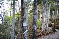 秋の甲斐駒ヶ岳・仙丈ヶ岳②