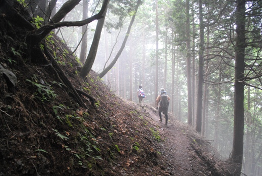 夏の蕎麦粒山～棒ノ折山