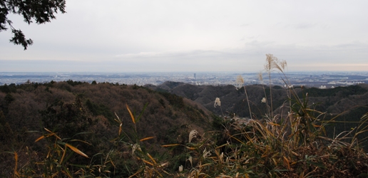 年末の高尾～陣馬縦走