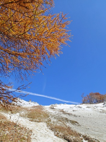 紅葉まっさかりの日向山