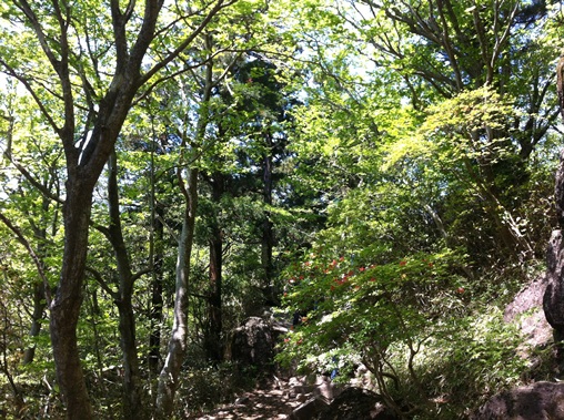 再び筑波山