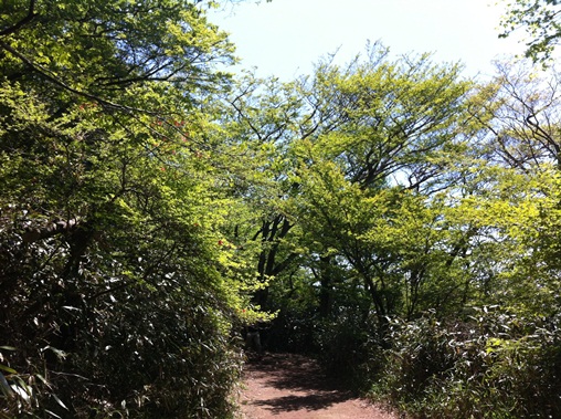 再び筑波山