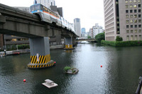 卵は9個！ 2009/05/07 21:16:15