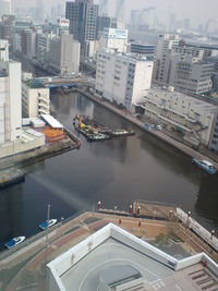 お手入れ 2008/03/27 02:53:33