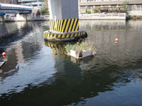 下見中！ 2008/11/18 16:48:54