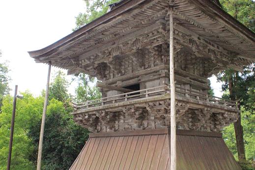 大江山の鬼～みのむしの自由研究～１