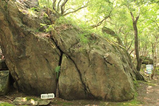 大江山の鬼～みのむしの自由研究～１
