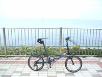 ぽたぽたぽた 2009/11/22 14:20:33