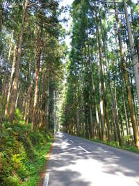吉野界隈ぽた 2010/05/05 20:11:59