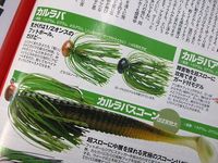 カルラバとカルラバスコーンが気になる！！