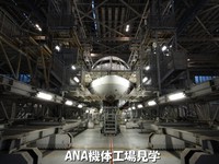 ANA機体工場見学！
