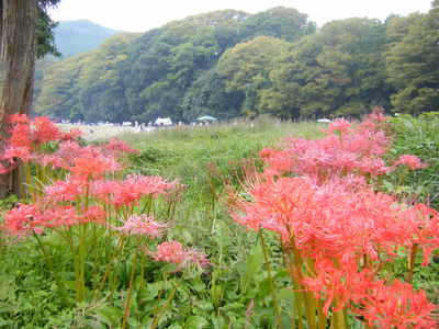 BBQ in 嵐山渓谷