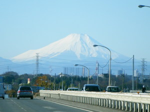 WILD-1 Ｘ’ｍａｓセール♪