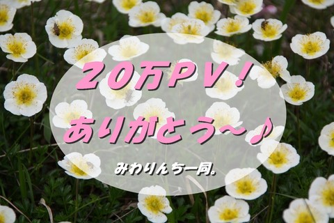 ありがとう♪