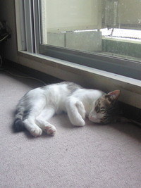 ナニが、ナニしてしまってｗｗｗ 2009/09/24 23:10:03