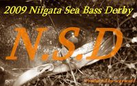 ２００９　Niigata Sea bass Derby