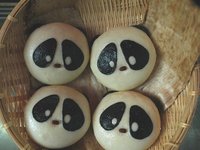 ZOOキャンプ
