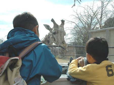私のメモリーZOO
