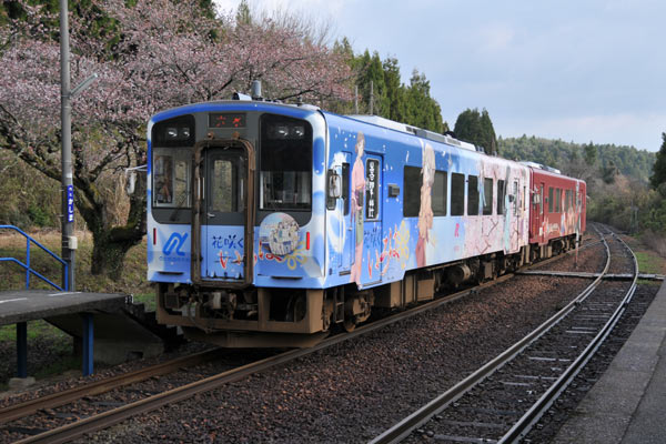 今年初の花いろ列車撮影