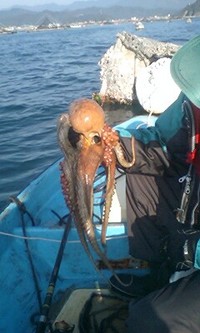 おーくんからの画像提供