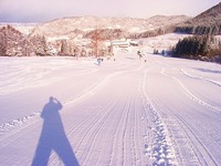 大鰐温泉スキー場