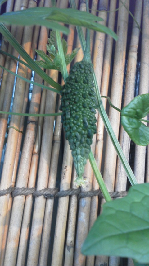 7/26