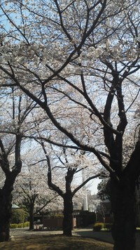 3/22