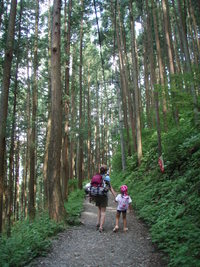 奥多摩越沢バットレスキャンプ場