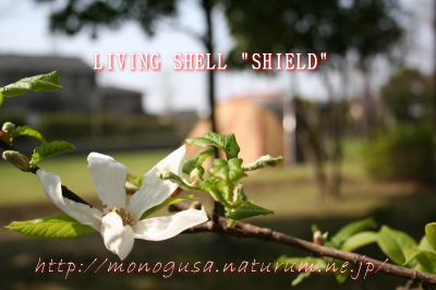 LIVING SHELL SHIELD