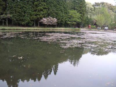 栃木の野池（その2）
