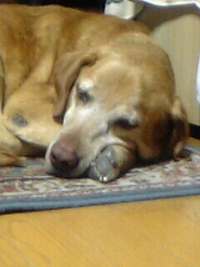 名前 2007/05/29 22:46:22