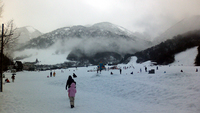 マキノ高原スキー場 2010/01/15 09:22:55