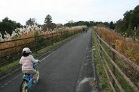 ＊　蒜山高原でサイクリング～♪＊　道の駅