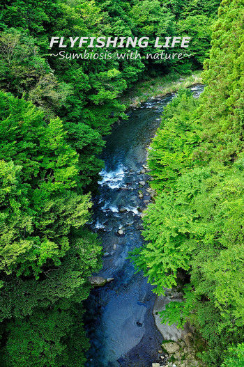 山梨県道志川釣行3rd！