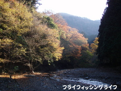 丹沢ホーム釣行！
