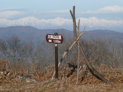 今日の散歩・大林山